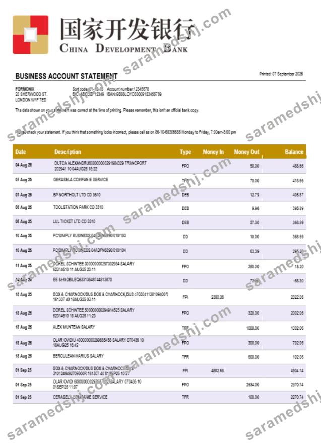 Chinese Development bank account business statement Word and PDF format